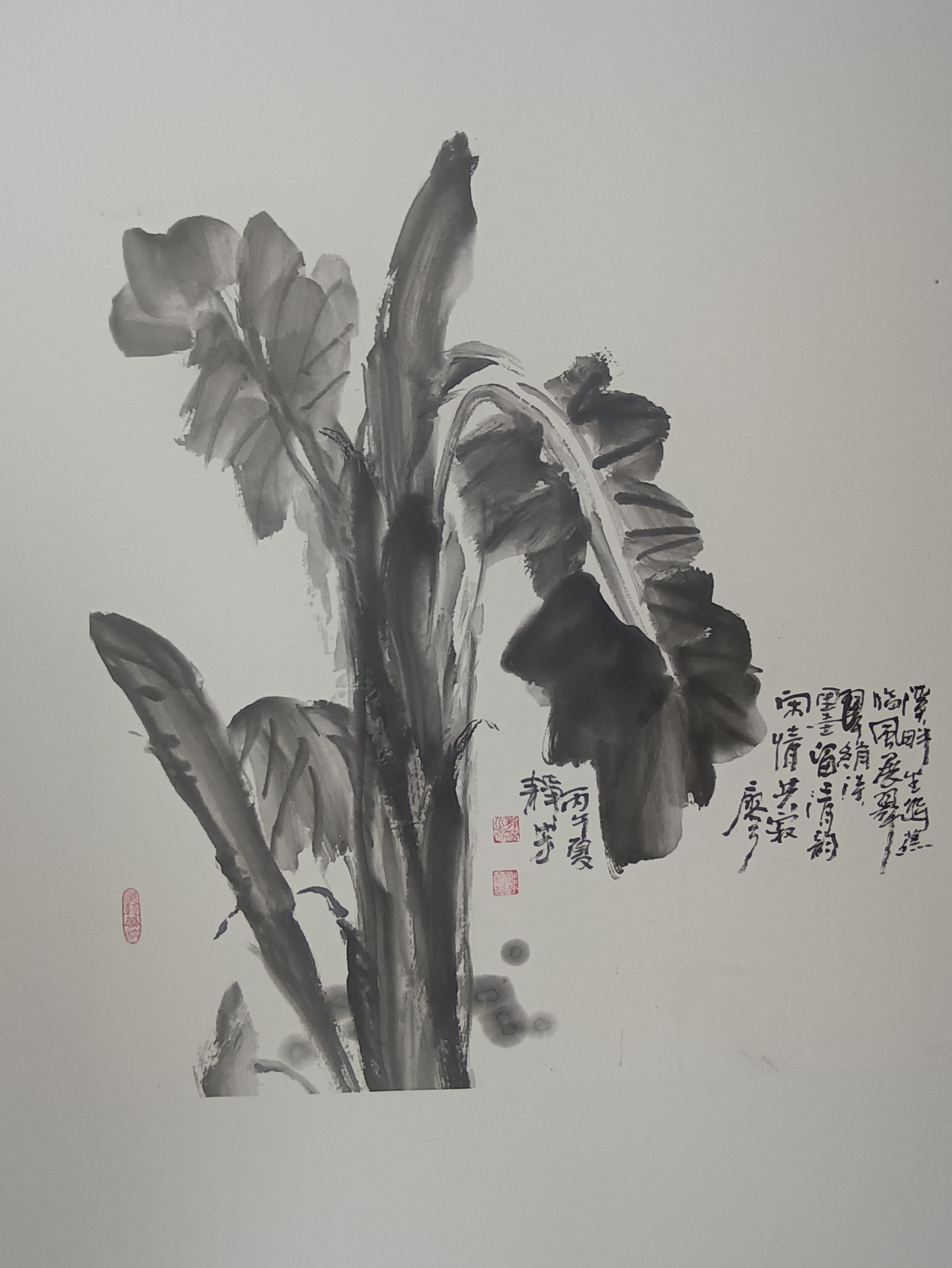 微信图片_20260522114439_36_488 微信图片_20260522114439_36_488
